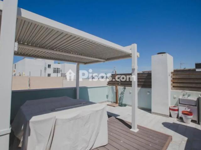 Apartamento en alquiler en Cádiz