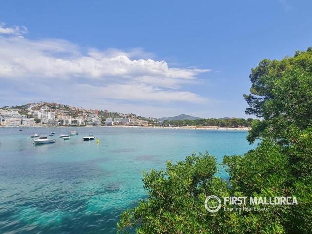 Apartamento en alquiler en Calvià Baleares