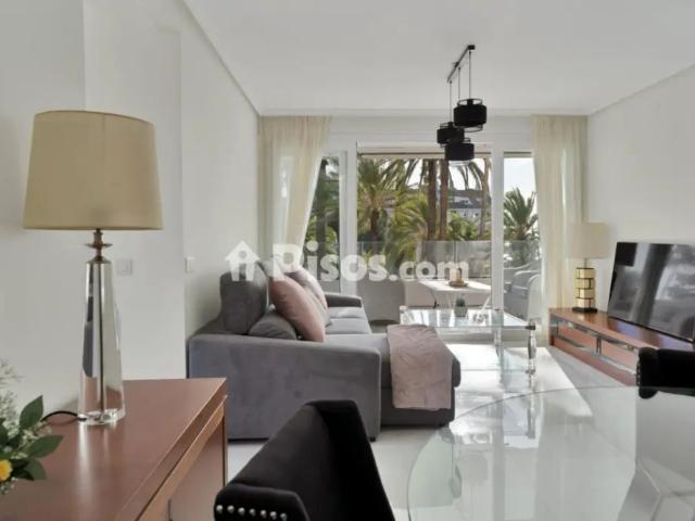 Apartamento en alquiler en Calle Urbanización Golf Río Real #Urb Torre Real Plant