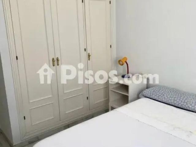Apartamento en alquiler en Calle Cántaro, 1