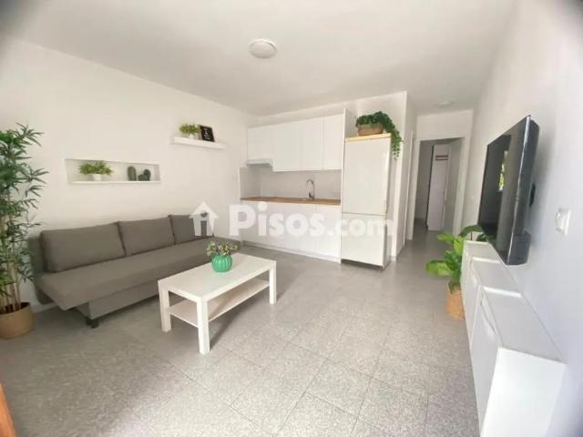 Apartamento en alquiler en Calle Comas Quesada