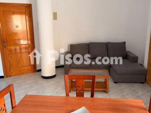 Apartamento en alquiler en Calle de Hernán Cortés, 132