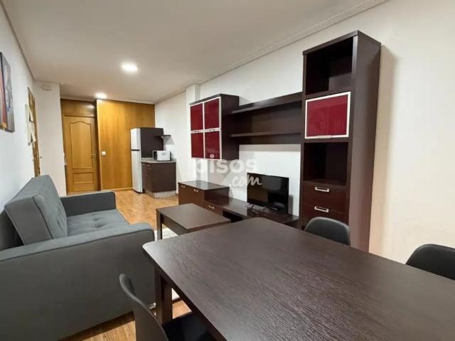 Apartamento en alquiler en Calle del Lago de la Baña