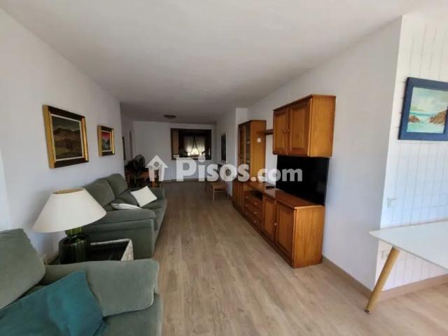 Apartamento en alquiler en Calle del Profesor Rafael Casasempere Juan