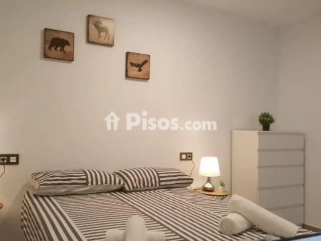 Apartamento en alquiler en Calle Doctor Salguero Morales, 1, cerca de Avenida de la Palmilla