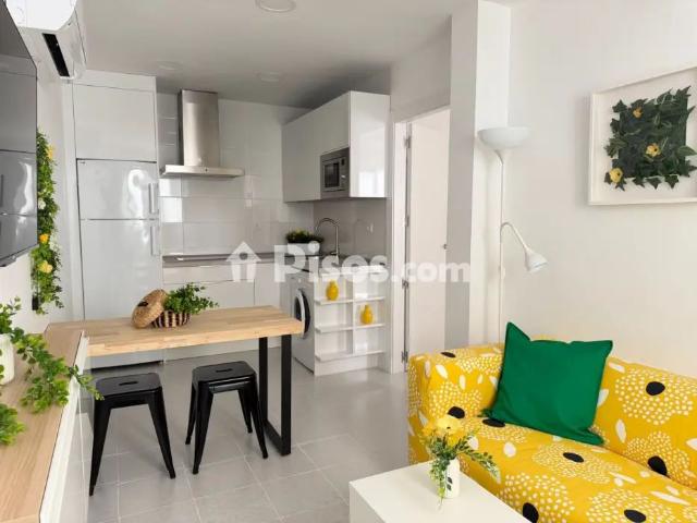 Apartamento en alquiler en Calle Parra Alta de Cartuja