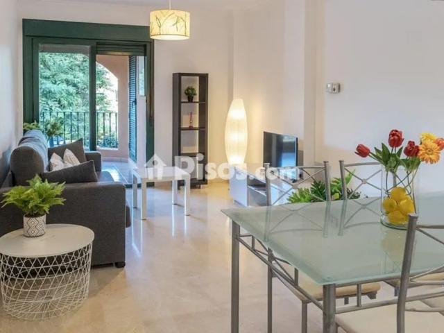 Apartamento en alquiler en Carrer d'Ovidi Montillor