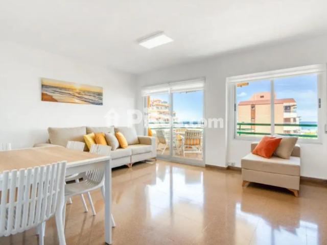 Apartamento en alquiler en Carrer de la Devesa, 3