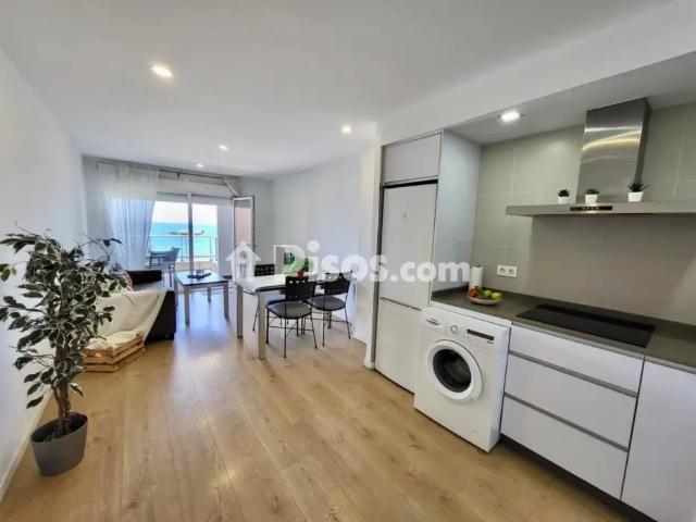 Apartamento en alquiler en Centro