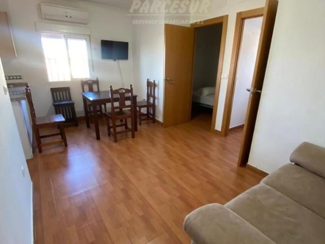 Apartamento en alquiler en Córdoba, El Higuerón