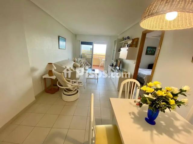 Apartamento en alquiler en Dehesa de Campoamor