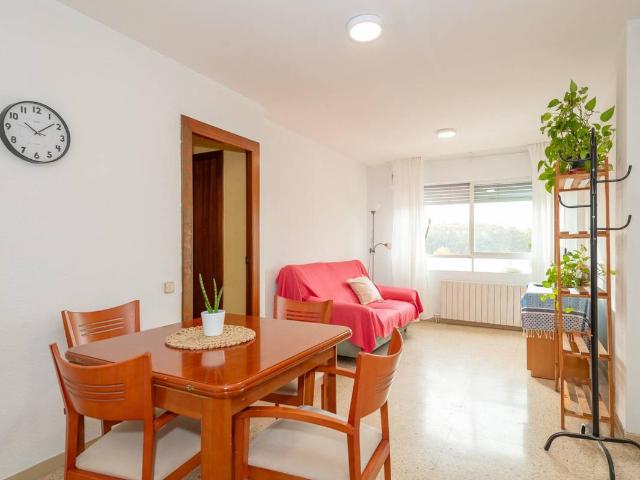 Apartamento en Alquiler en Domeny