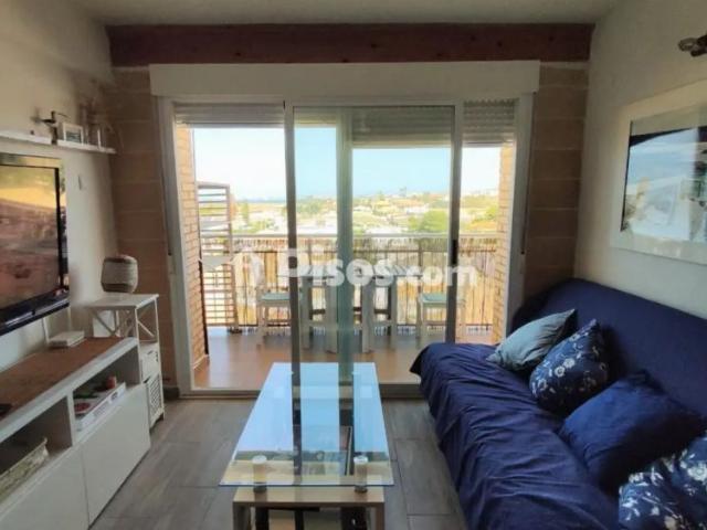 Apartamento en alquiler en Edificio Sirena