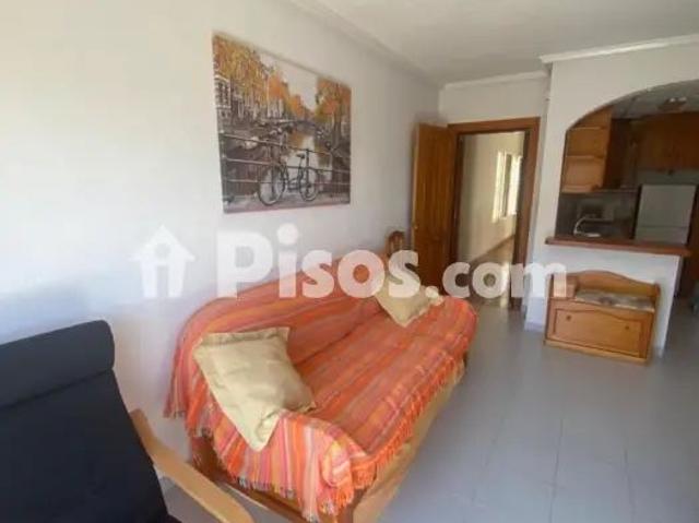 Apartamento en alquiler en Guardamar del Segura