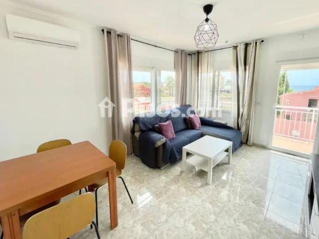 Apartamento en alquiler en los Frutales