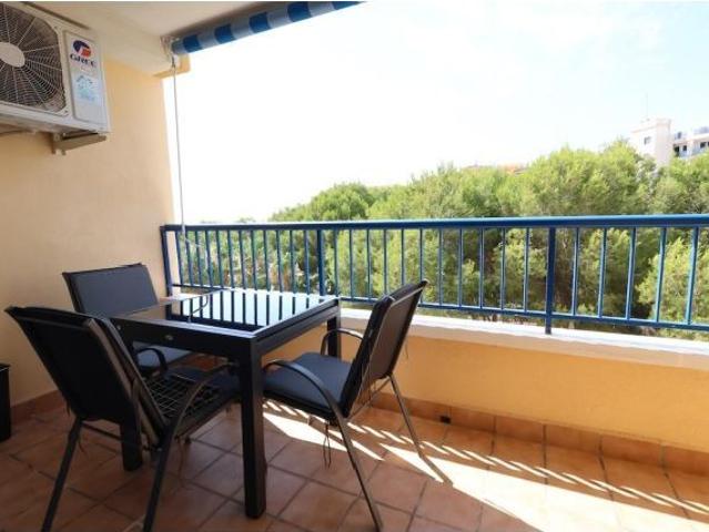 Apartamento en Alquiler en Orihuela Costa, Alicante