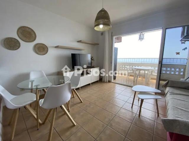 Apartamento en alquiler en Paseo de la Reina Sofía, 10