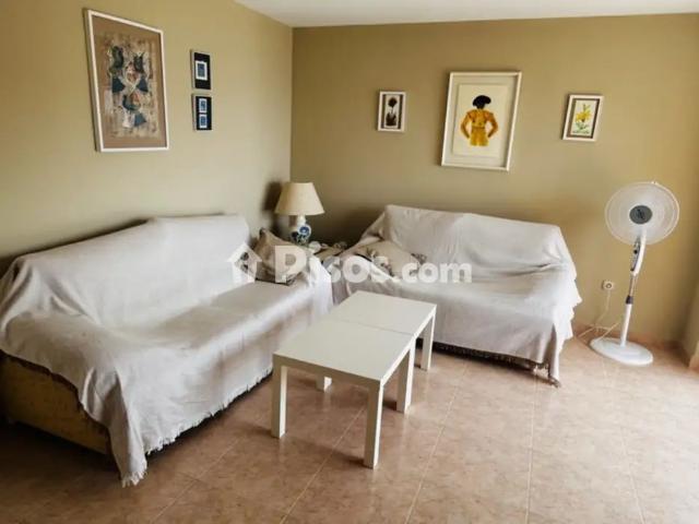 Apartamento en alquiler en Paseo de la Reina Sofía, 1