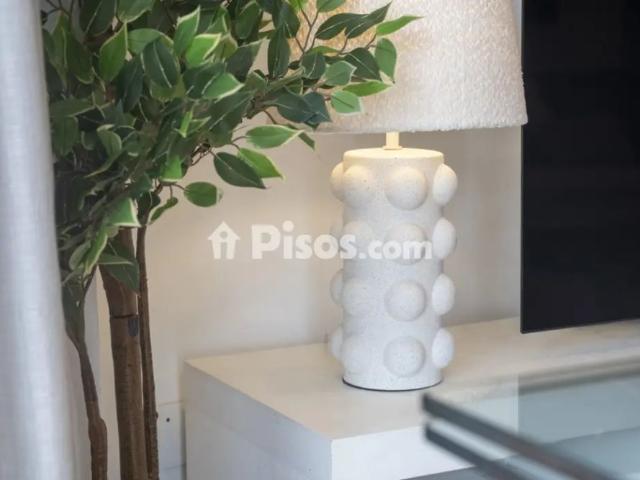 Apartamento en alquiler en Paseo de las Acacias
