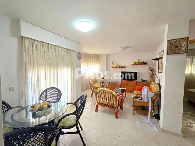 Apartamento en alquiler en Plaza Rosa de los Vents, 4