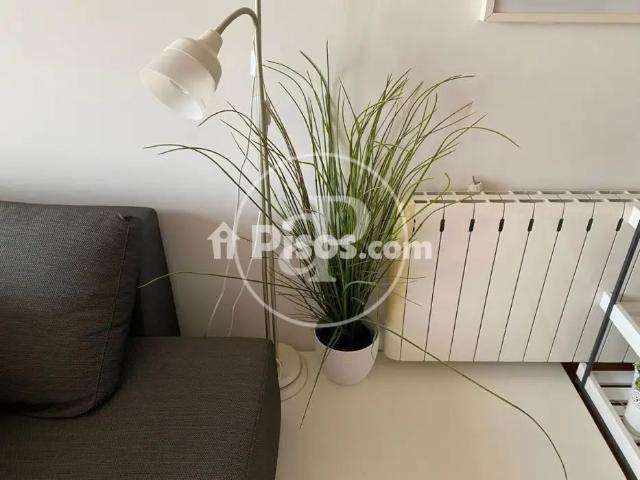 Apartamento en alquiler en Sagunt Sagunto