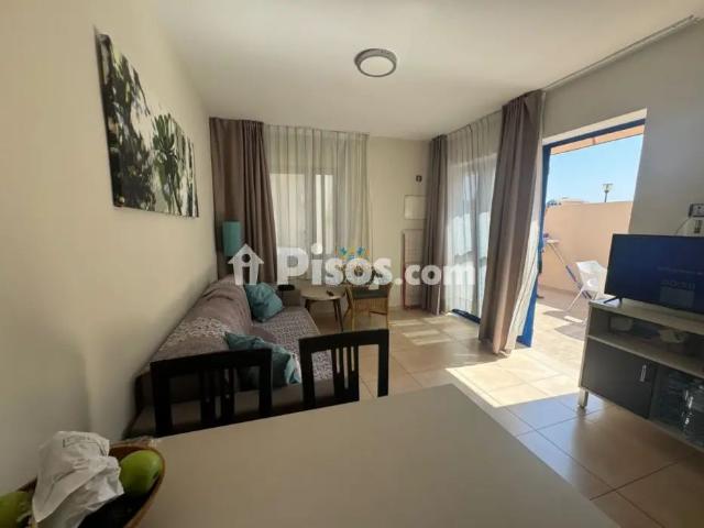 Apartamento en alquiler en Sur San Agustin