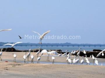Apartamento en Arriendo, Zona Hotel Decameron, Santa Marta