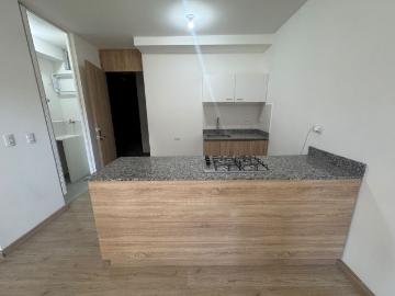 Apartamento en arriendo, Altamira