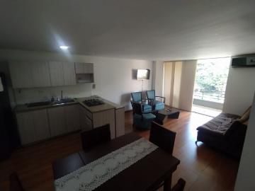 Apartamento en arriendo, Conquistadores