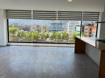 Apartamento En Arriendo En Bogota En Santa Bibiana A370101