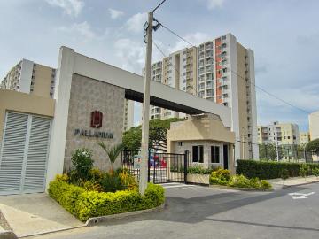 Apartamento En Arriendo En Cucuta En Prados Del Este A334572