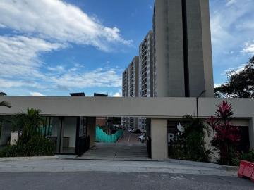 Apartamento en Arriendo en Ibagué en el Sector 1