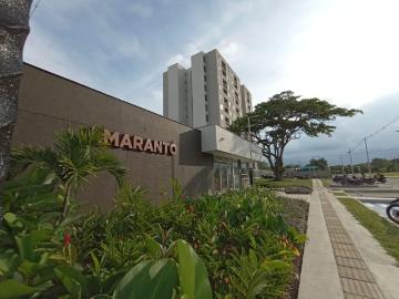 Apartamento en arriendo Parcelaciones Pance, Sur