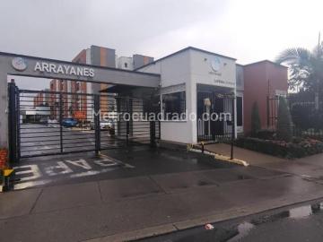 Apartamento en Arriendo, Parque Natura, Jamundi