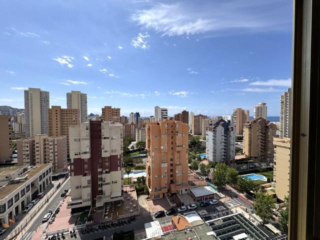 Apartamento en Benidorm, Juzgados, alquiler