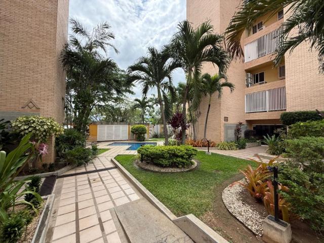 Apartamento en el trigal en alquiler. Piedras pintadas resd Alta Vista