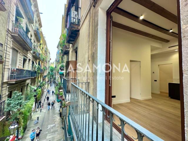Apartamento encantador de 2 habitaciones en Sant Pere, uno d. 65m² Barcelona