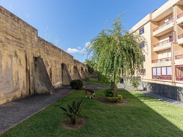 Apartamento, Fânzeres e São Pedro da Cova