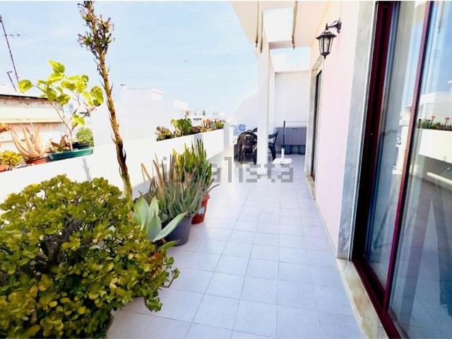 Apartamento, Faro