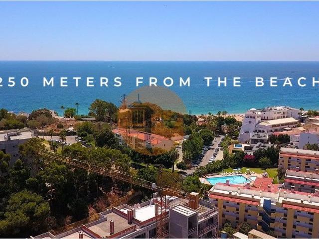 Apartamento, Ferreiras