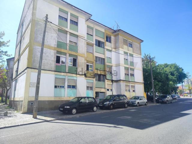 Apartamento, Laranjeiro e Feijó