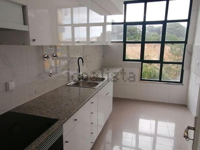 Apartamento, Laranjeiro e Feijó