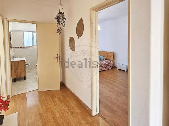 Apartamento, Laranjeiro e Feijó
