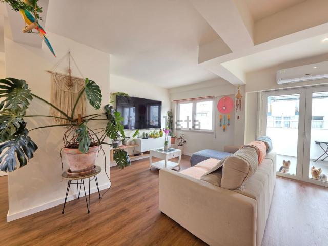 Apartamento, Laranjeiro e Feijó
