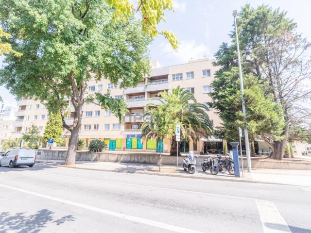 Apartamento, Lordelo do Ouro e Massarelos