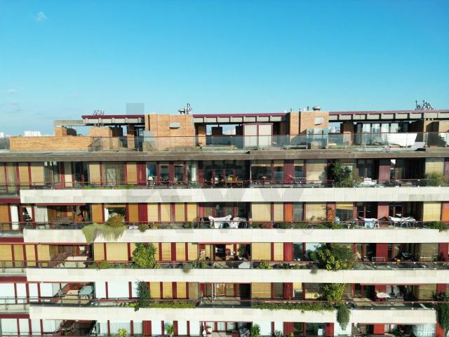 Apartamento, Lordelo do Ouro e Massarelos