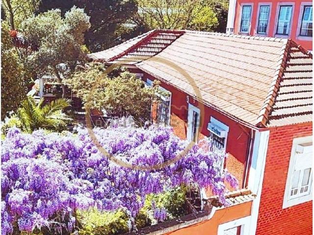 Apartamento, Lordelo do Ouro e Massarelos