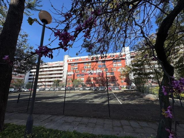 Apartamento, Lumiar