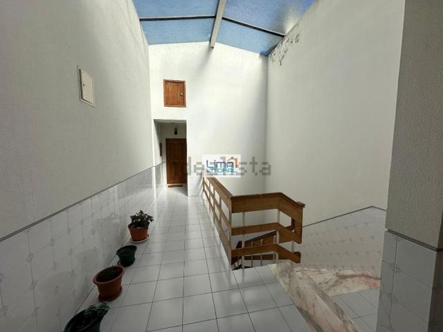 Apartamento, Monte Real e Carvide
