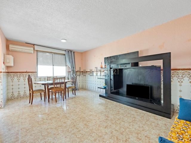 Apartamento, Montijo e Afonsoeiro